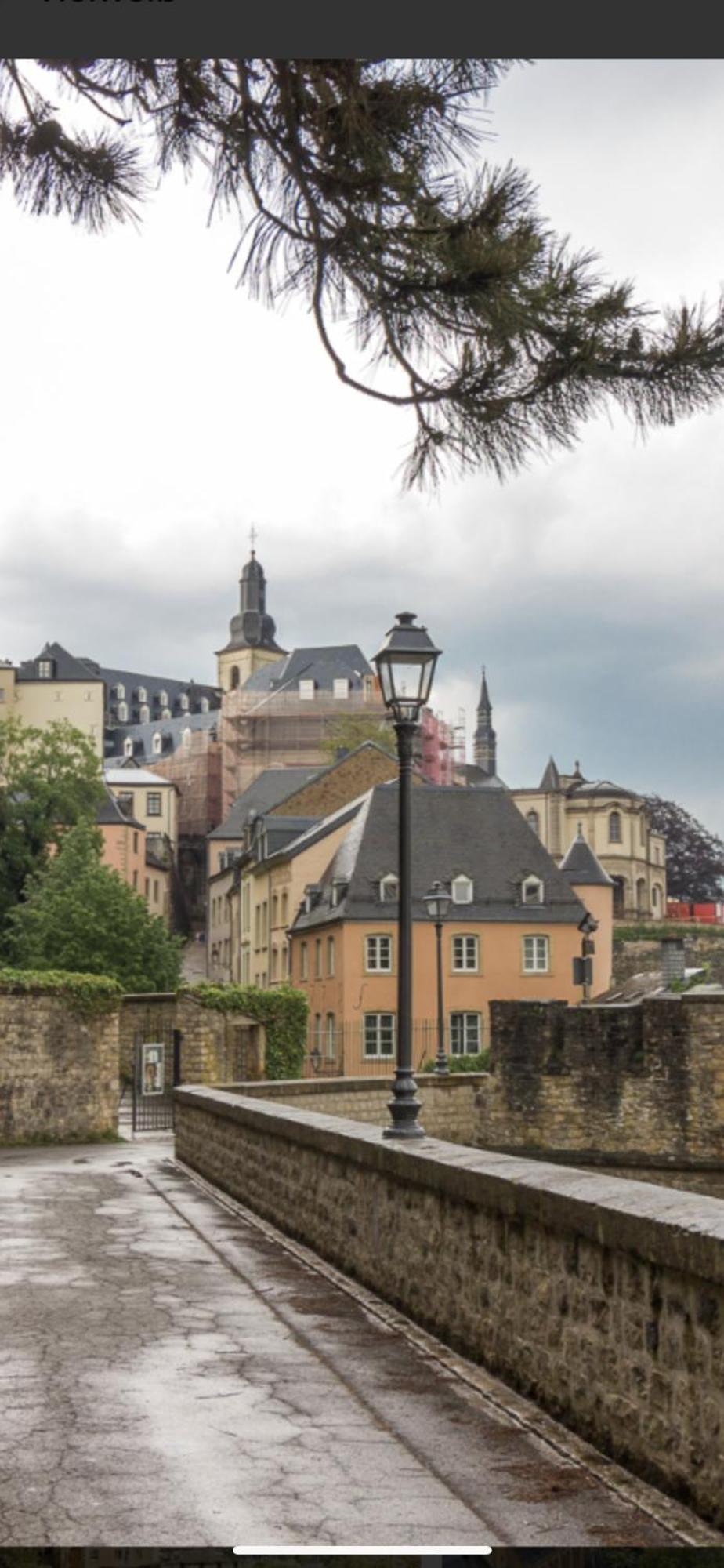 Ferienwohnung Am Pferdemarkt Konz Bagian luar foto